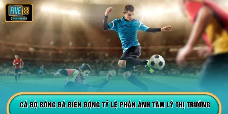 Cá độ bóng đá biến động tỷ lệ phản ánh tâm lý thị trường
