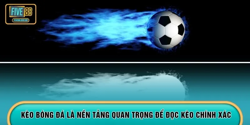 Kèo bóng đá là nền tảng quan trọng để đọc kèo chính xác