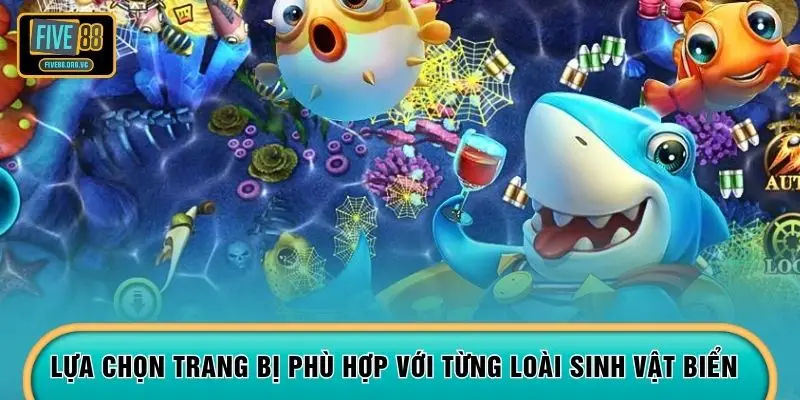 Lựa chọn trang bị phù hợp với từng loài sinh vật biển